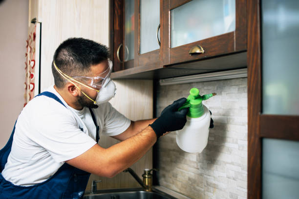 Best Pest Inspection Near Me  in Wilson, WY