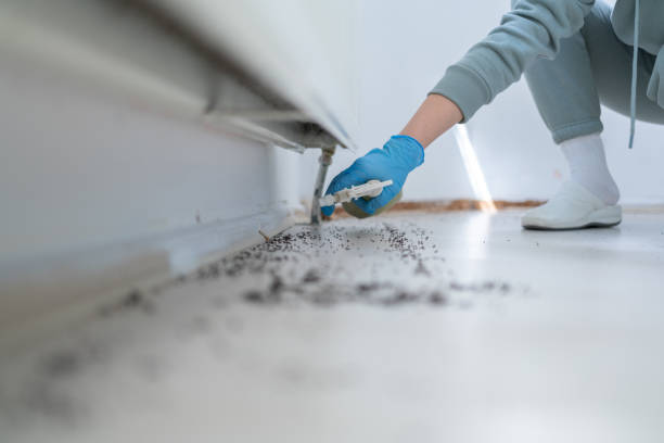 Best Pest Prevention Services  in Wilson, WY